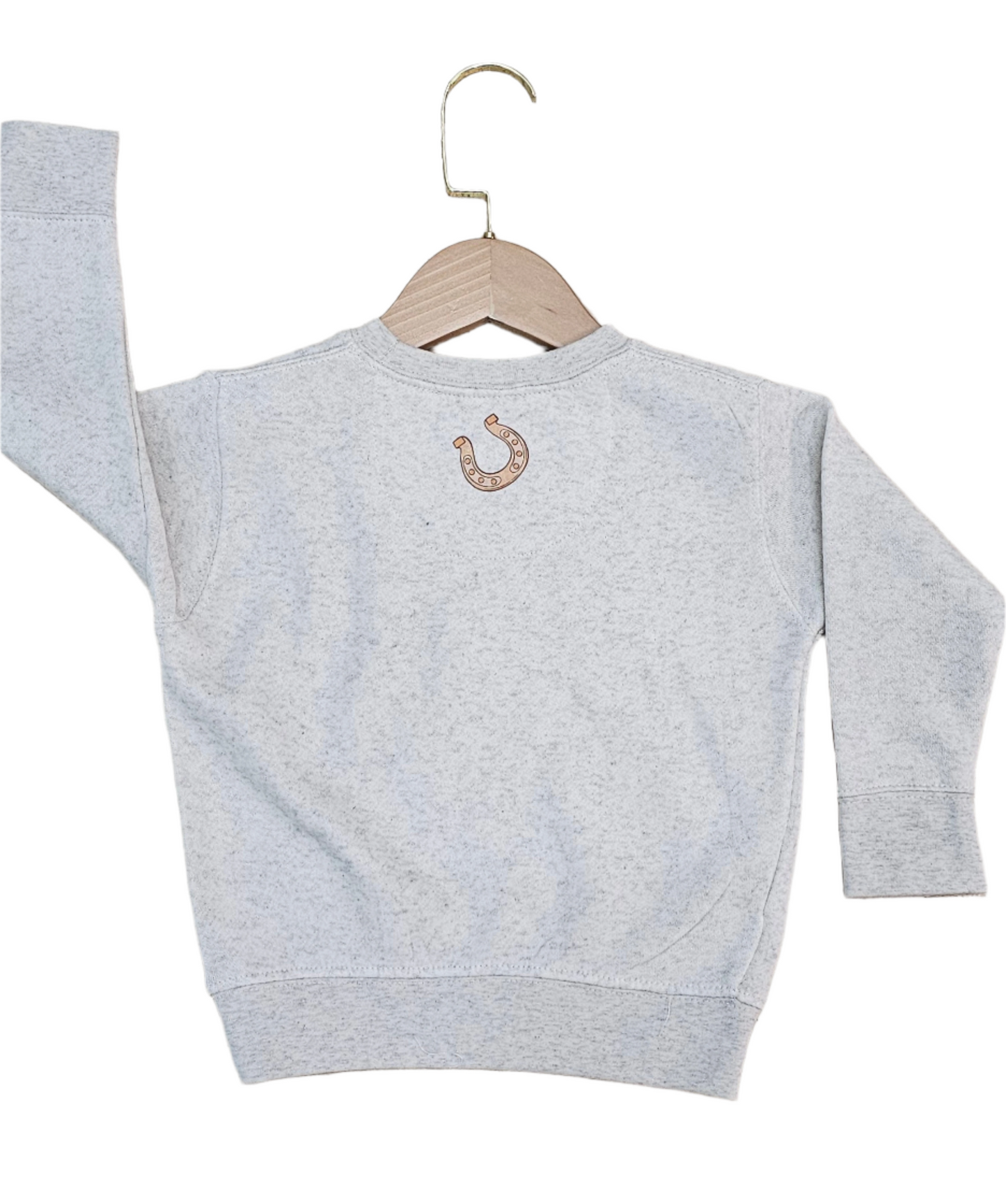 Haunted Hoedown Halloween Pullover